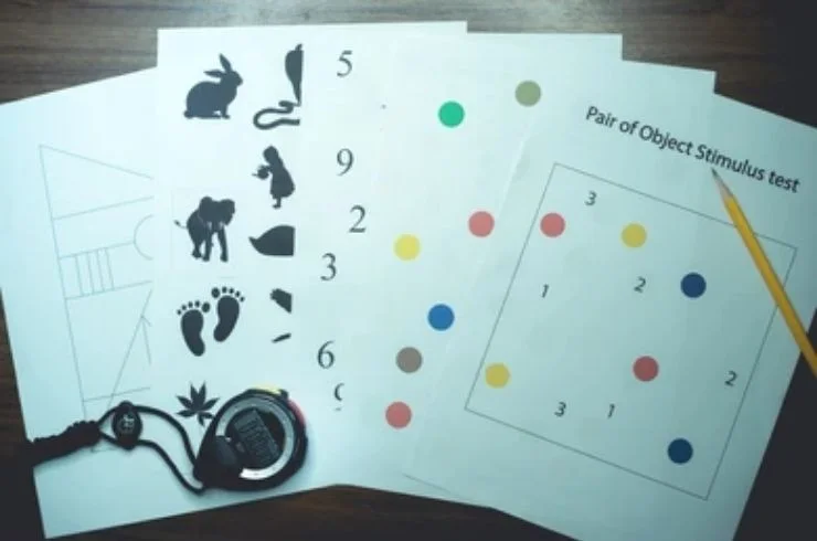 Neuropsychiatric Testing2